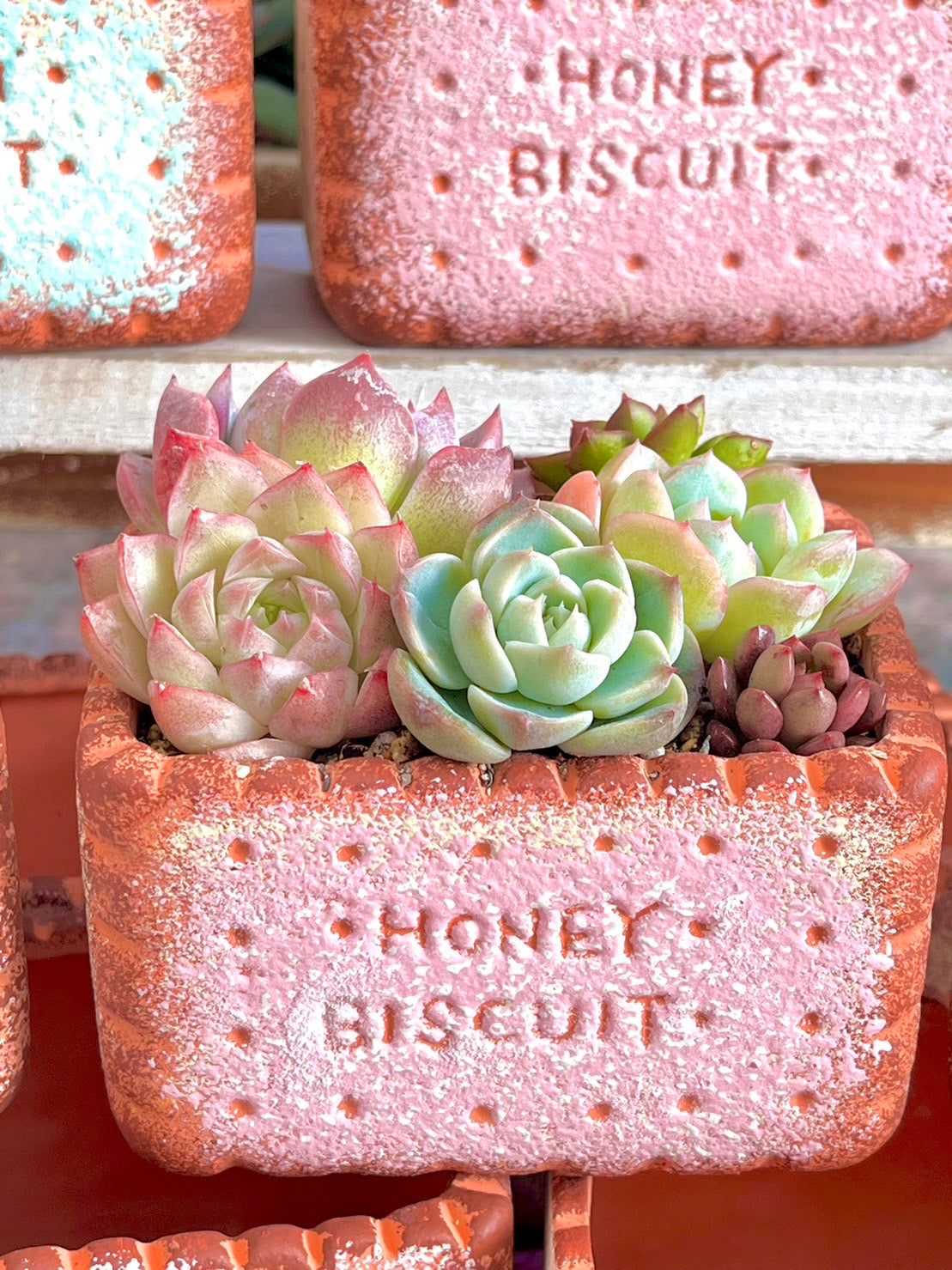 biscuit bowl rectangular strawberry