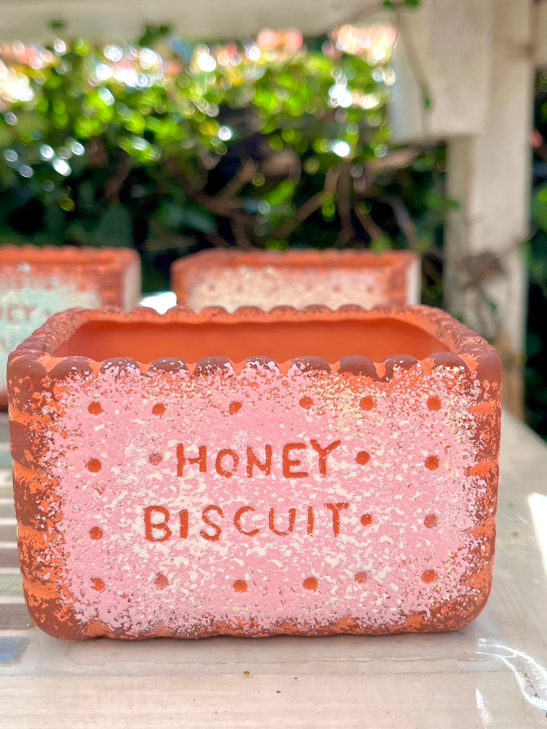 biscuit bowl rectangular strawberry