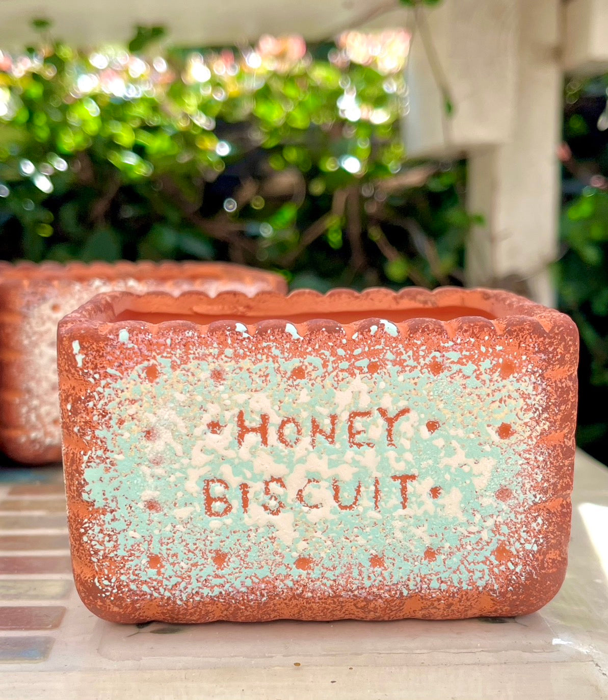 biscuit bowl rectangular strawberry