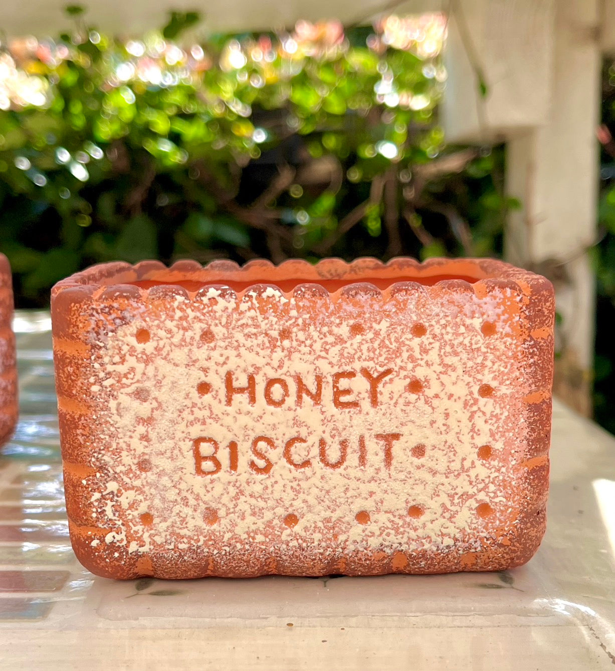 biscuit bowl rectangular strawberry