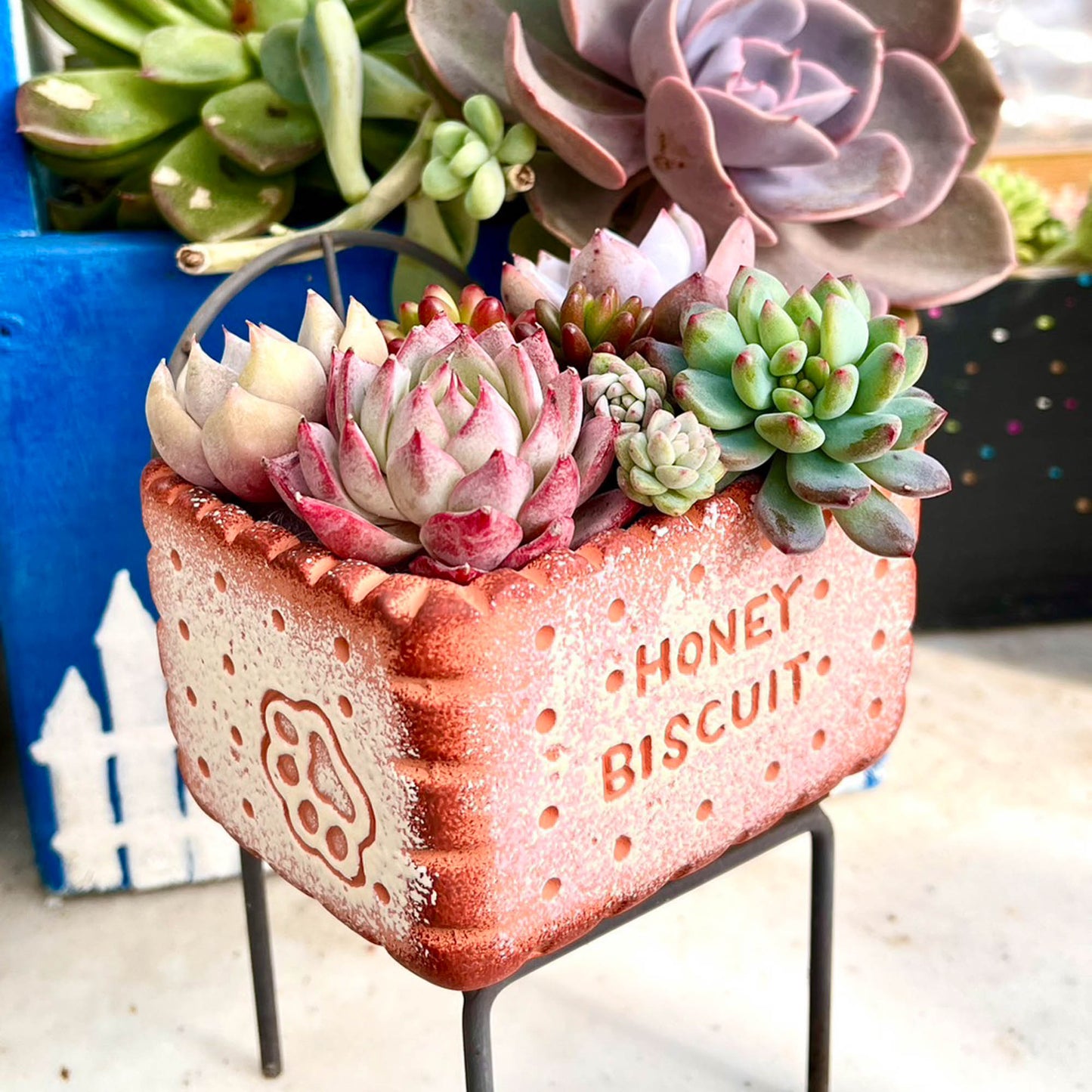 biscuit bowl rectangular strawberry